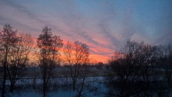 WP_20210117_07_42_25_Pro_LI[1].jpg