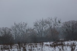 IMG_0039.JPG