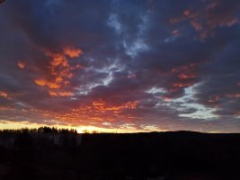 IMG_20201220_080346.jpg