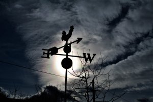 Wetterhahn Aureole-Sonntag.jpg