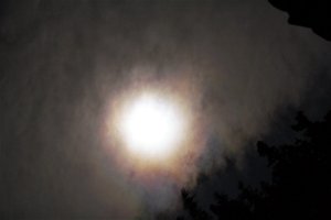 Mondaureole-3.jpg