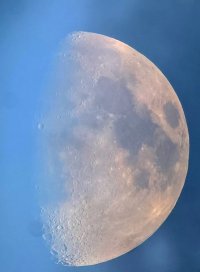 WP_20210221_15_38_Pro_LI.jpg