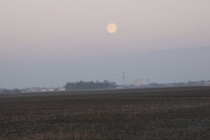 _MG_4362.JPG