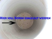 DSCN4804.jpg