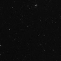 ELEPHANTSTRUNK_LIGHT_1200s_1600iso_+11c_S2_00565stdev_20151101-19h49m26s158ms.jpg