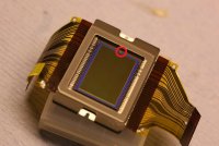 40d_sensor_1600.jpg