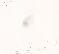 1604020200252P!LINEAR_7x50.jpg