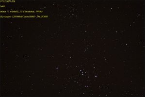 M48-Forum.jpg