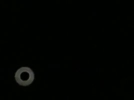 29DD0DAB-1545-4348-846A-5D2867D75C12.jpeg