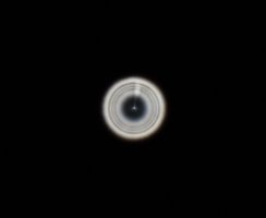 82B4277A-1252-4EAE-A3F1-FBDD6BEA33B2.jpeg