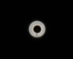 83AA0259-FC45-40B7-9847-A6EE2324A74F.jpeg