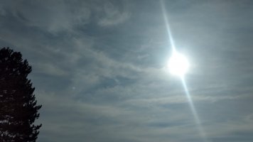 1c4c3da5-5dc7-48ba-bb7f-75fbe3e6e384.jpg