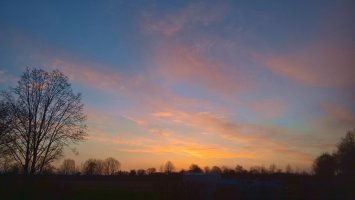WP_20210402_06_47_11_Pro_LI.jpg
