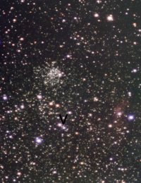 3E551D71-39E3-4B6A-A468-8B10AD7F8EA7.jpeg