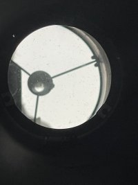 DA90DB03-D509-4A5C-BA99-EB370C7BB3A9.jpeg