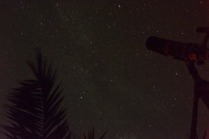 DSC_1703.JPG