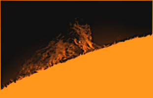 2021-03-31-1326_6-U-UV-NewProf-reg6-ps01-f.png