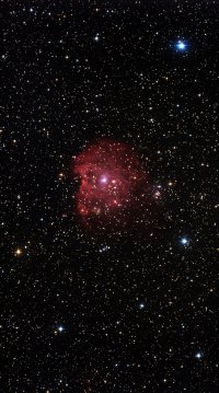 NGC 2174 Affenkopf- Nebel.jpg