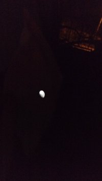 IMG_20210423_000522674.jpg