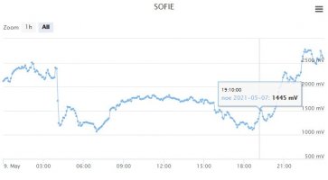 7-5-21_Sofie.JPG