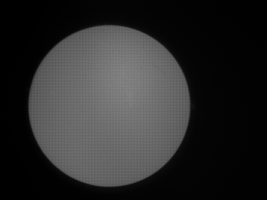 Sonne_25.04.21-1-1_Frame34.png