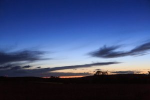 5D3_0417.jpg