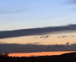 5D3_0417_crop.jpg