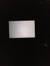 011107A7-E48F-4102-A4C3-CF2D51C46579.jpeg