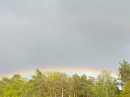 IMG_20210522_175512.jpg