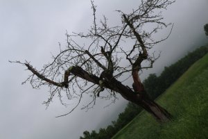 IMG_0024.JPG