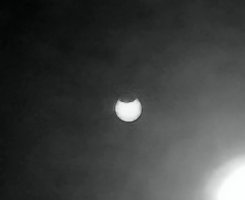 IMG_20210610_154822.jpg