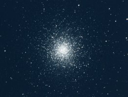 M13.jpg