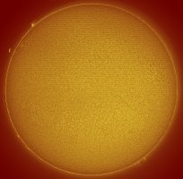Sun 2021-06-13.jpg