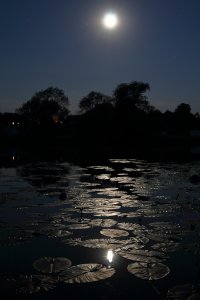 Mond_2021_web.jpg