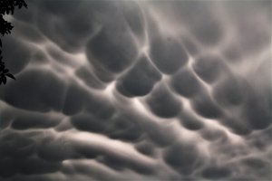 sickspack-mamatus.jpg