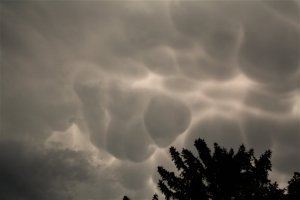 Mamatus-3.jpg