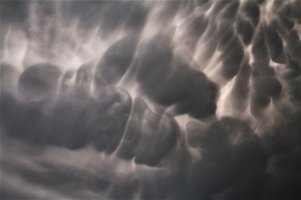Mamatus-9-Forum.jpg
