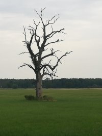 IMG_20210629_130211.jpg