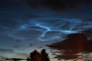 NLC-5.jpg