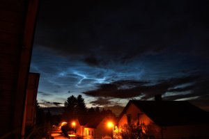 NLC-6.jpg