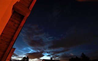 NLC-1.jpg