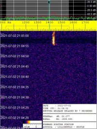 SIGNAL_20210702_210502.jpg