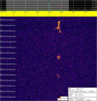SIGNAL_20210703_045318.jpg