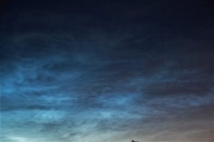 NLC-pur.jpg
