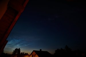 NLC-kompaktes Feld.jpg