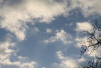 IMG_1275_s.JPG