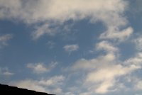 IMG_1276_s.JPG
