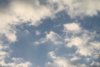 IMG_1277_s.JPG