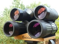 Nobilem8x50_56c.jpg