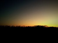 Sonnenuntergang grünlich mit Händy_4.jpg